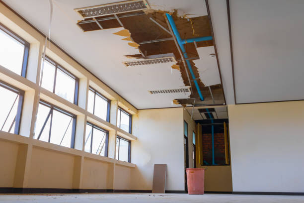Best Sewage cleanup and water damage restoration  in Liberty, SC
