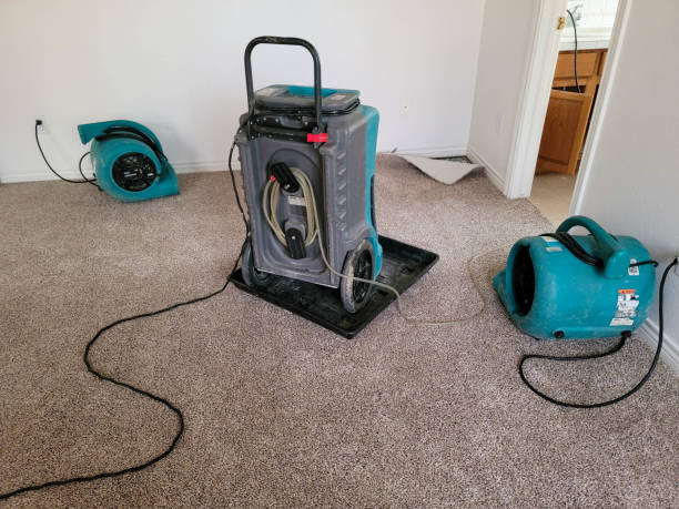 Best Emergency water damage restoration  in Liberty, SC