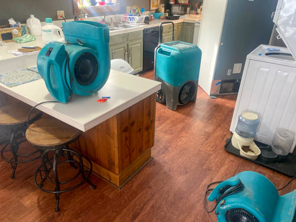 Best 24/7 water damage repair  in Liberty, SC