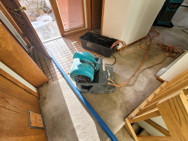 Best Residential water damage restoration  in Liberty, SC