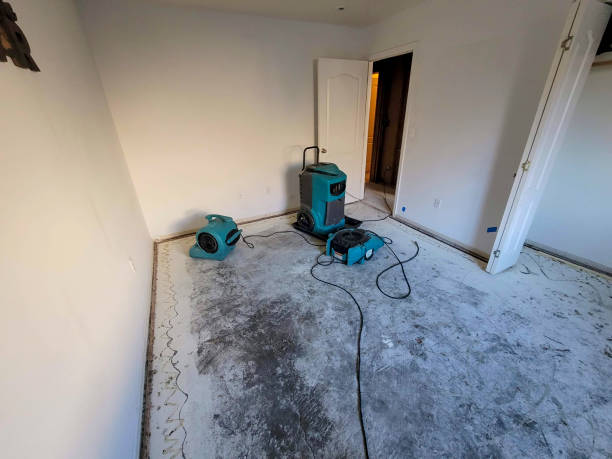 Best Fire Damage Restoration  in Liberty, SC