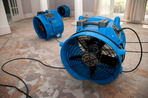 Best Flooded house restoration  in Liberty, SC