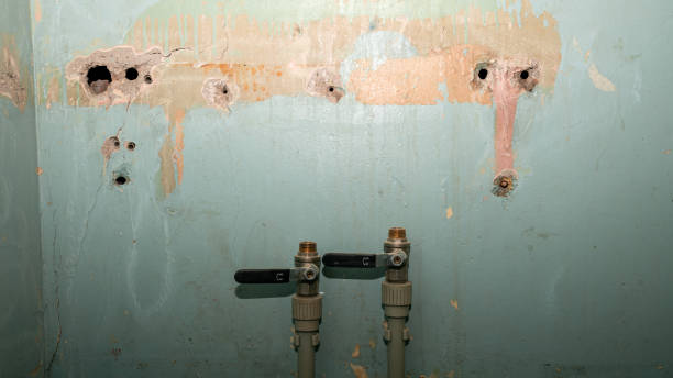 Best Flood damage cleanup  in Liberty, SC
