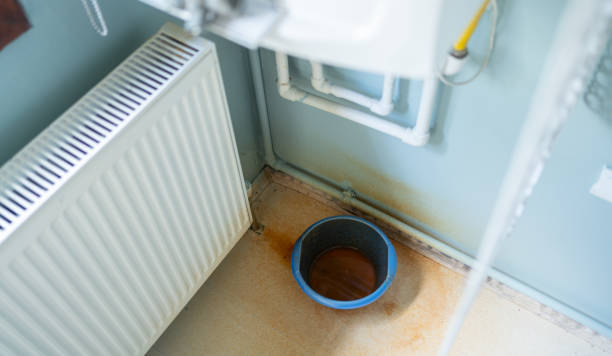 Best Basement water damage restoration  in Liberty, SC