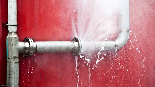 Best Mold removal after water damage  in Liberty, SC